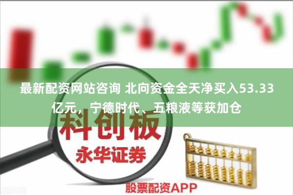 最新配资网站咨询 北向资金全天净买入53.33亿元,宁德时代、五粮液等获加仓