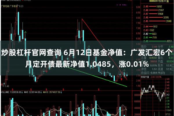 炒股杠杆官网查询 6月12日基金净值:广发汇宏6个月定开债最新净值1.0485,涨0.01%