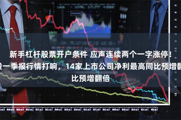 新手杠杆股票开户条件 应声连续两个一字涨停!A股一季报行情打响,14家上市公司净利最高同比预增翻倍