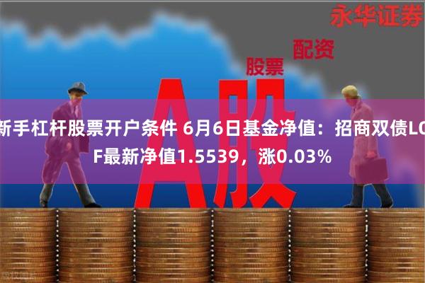 新手杠杆股票开户条件 6月6日基金净值:招商双债LOF最新净值1.5539,涨0.03%