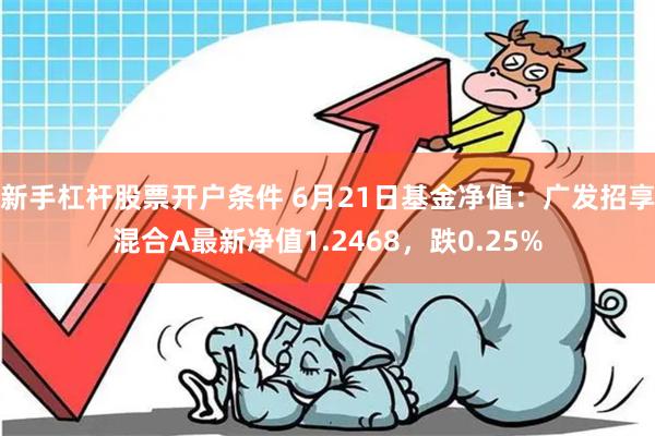新手杠杆股票开户条件 6月21日基金净值:广发招享混合A最新净值1.2468,跌0.25%