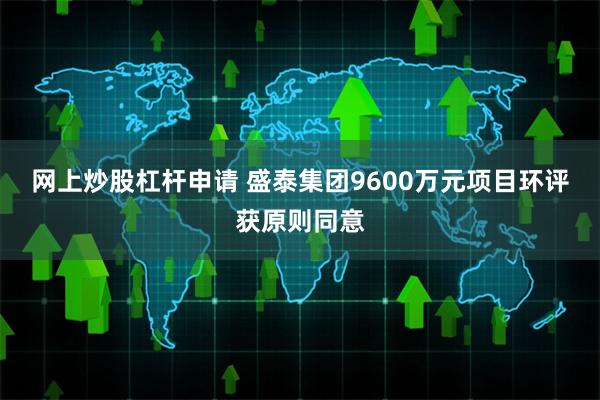 网上炒股杠杆申请 盛泰集团9600万元项目环评获原则同意